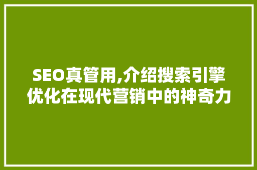SEO真管用,介绍搜索引擎优化在现代营销中的神奇力量