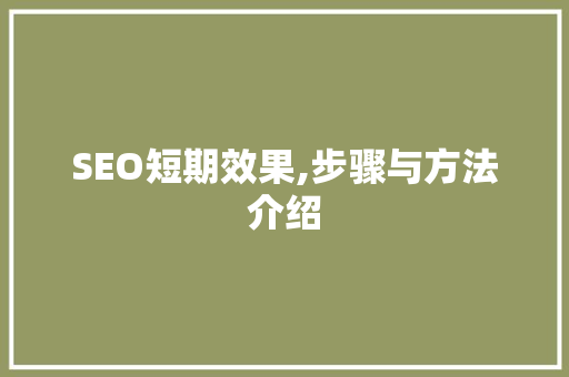 SEO短期效果,步骤与方法介绍