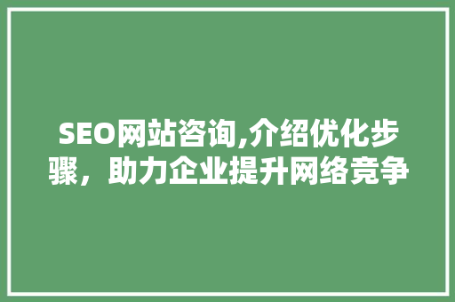 SEO网站咨询,介绍优化步骤，助力企业提升网络竞争力
