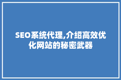 SEO系统代理,介绍高效优化网站的秘密武器