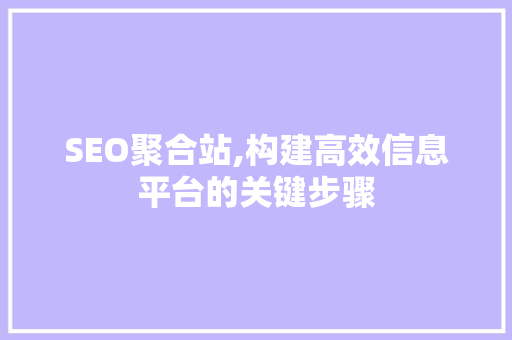 SEO聚合站,构建高效信息平台的关键步骤