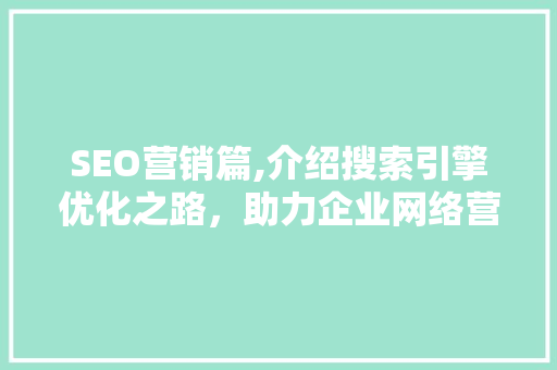 SEO营销篇,介绍搜索引擎优化之路，助力企业网络营销新突破