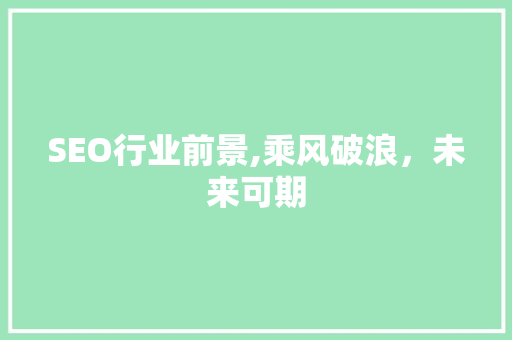 SEO行业前景,乘风破浪，未来可期