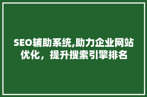 SEO辅助系统,助力企业网站优化，提升搜索引擎排名