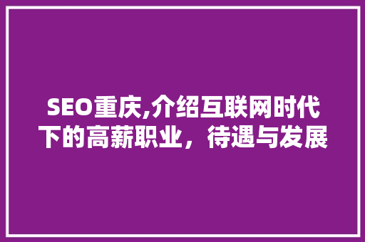 SEO重庆,介绍互联网时代下的高薪职业，待遇与发展前景分析