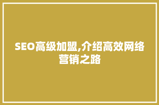 SEO高级加盟,介绍高效网络营销之路