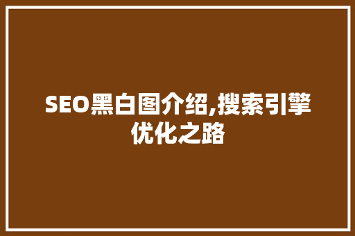 SEO黑白图介绍,搜索引擎优化之路