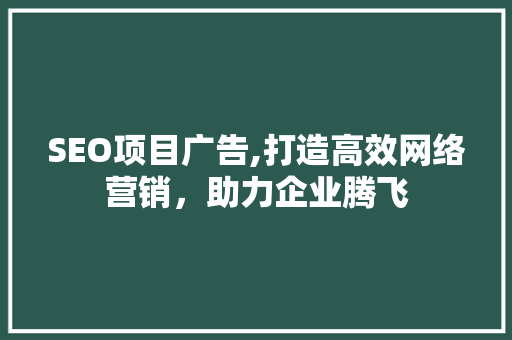 SEO项目广告,打造高效网络营销，助力企业腾飞