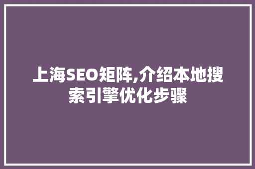 上海SEO矩阵,介绍本地搜索引擎优化步骤