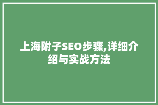上海附子SEO步骤,详细介绍与实战方法