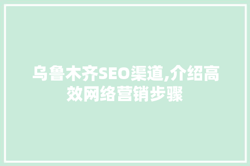 乌鲁木齐SEO渠道,介绍高效网络营销步骤