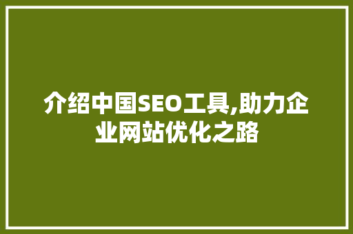 介绍中国SEO工具,助力企业网站优化之路