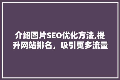 介绍图片SEO优化方法,提升网站排名，吸引更多流量