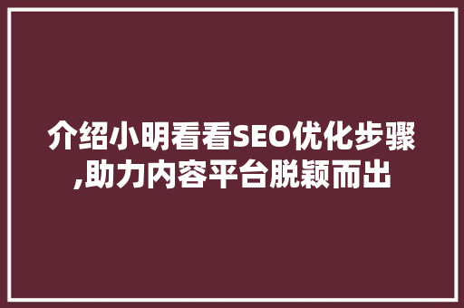 介绍小明看看SEO优化步骤,助力内容平台脱颖而出