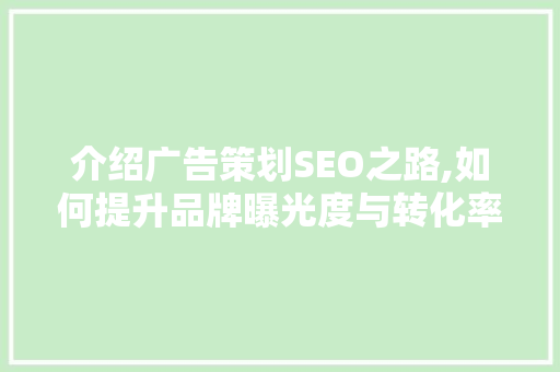 介绍广告策划SEO之路,如何提升品牌曝光度与转化率