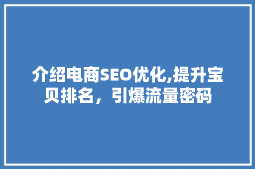 介绍电商SEO优化,提升宝贝排名，引爆流量密码