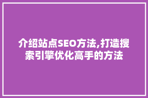 介绍站点SEO方法,打造搜索引擎优化高手的方法