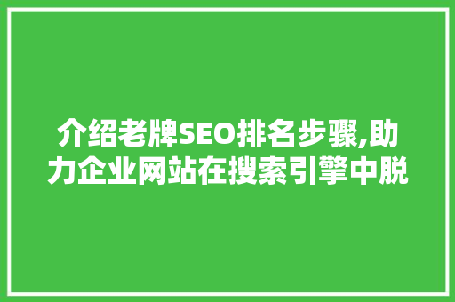 介绍老牌SEO排名步骤,助力企业网站在搜索引擎中脱颖而出