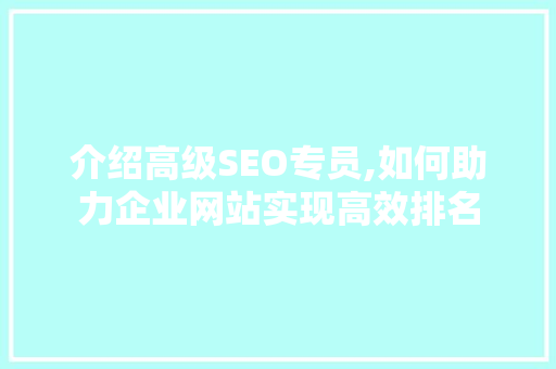 介绍高级SEO专员,如何助力企业网站实现高效排名