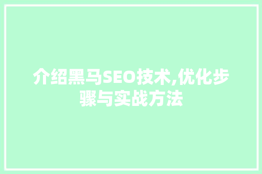 介绍黑马SEO技术,优化步骤与实战方法