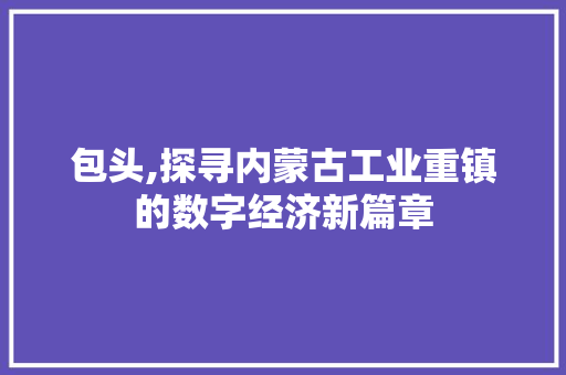 包头,探寻内蒙古工业重镇的数字经济新篇章