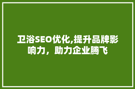 卫浴SEO优化,提升品牌影响力，助力企业腾飞