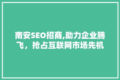 南安SEO招商,助力企业腾飞，抢占互联网市场先机