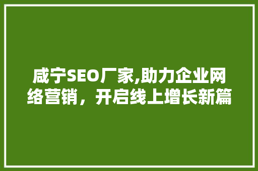 咸宁SEO厂家,助力企业网络营销，开启线上增长新篇章