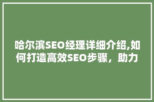 哈尔滨SEO经理详细介绍,如何打造高效SEO步骤，助力企业网络营销