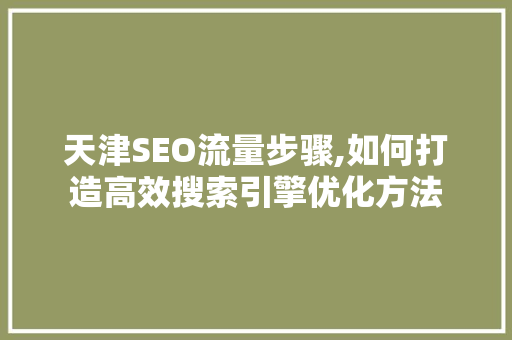 天津SEO流量步骤,如何打造高效搜索引擎优化方法