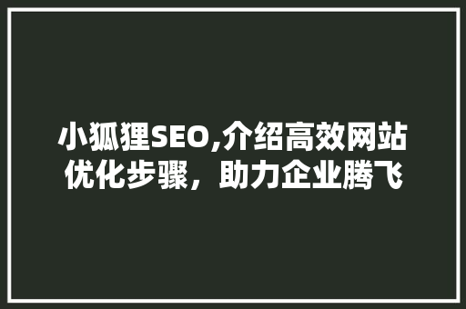 小狐狸SEO,介绍高效网站优化步骤，助力企业腾飞