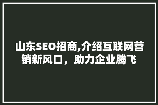 山东SEO招商,介绍互联网营销新风口，助力企业腾飞