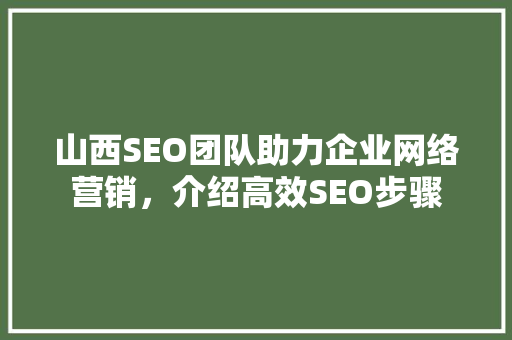 山西SEO团队助力企业网络营销，介绍高效SEO步骤