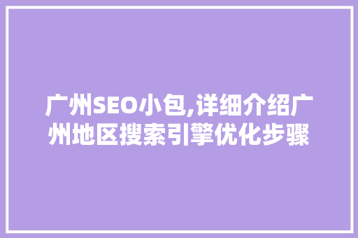 广州SEO小包,详细介绍广州地区搜索引擎优化步骤