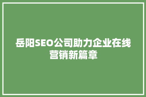 岳阳SEO公司助力企业在线营销新篇章