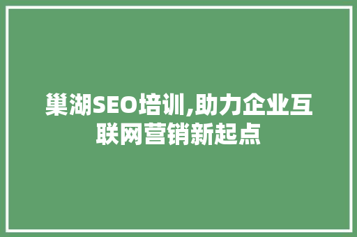 巢湖SEO培训,助力企业互联网营销新起点