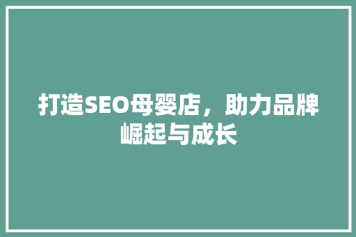 打造SEO母婴店，助力品牌崛起与成长