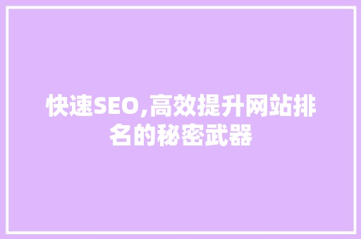 快速SEO,高效提升网站排名的秘密武器