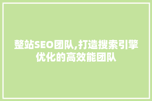 整站SEO团队,打造搜索引擎优化的高效能团队
