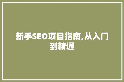 新手SEO项目指南,从入门到精通