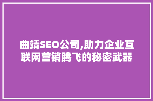 曲靖SEO公司,助力企业互联网营销腾飞的秘密武器