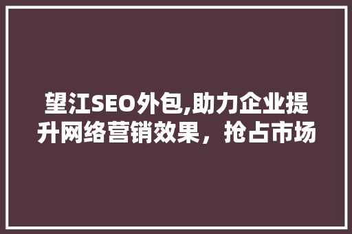 望江SEO外包,助力企业提升网络营销效果，抢占市场先机