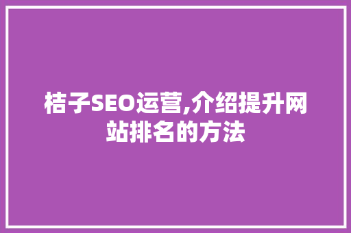 桔子SEO运营,介绍提升网站排名的方法