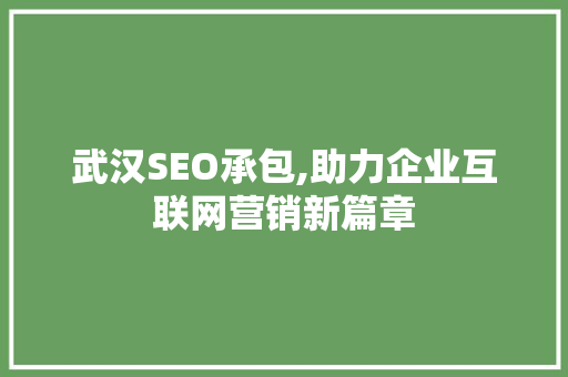 武汉SEO承包,助力企业互联网营销新篇章