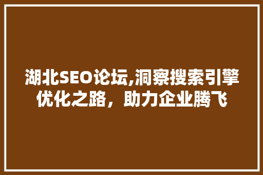 湖北SEO论坛,洞察搜索引擎优化之路，助力企业腾飞