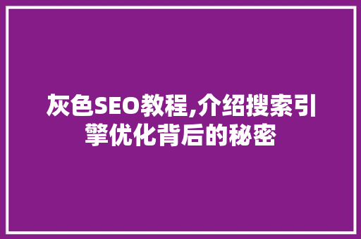 灰色SEO教程,介绍搜索引擎优化背后的秘密