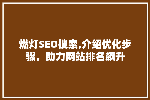 燃灯SEO搜索,介绍优化步骤，助力网站排名飙升