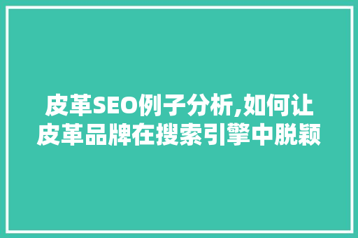 皮革SEO例子分析,如何让皮革品牌在搜索引擎中脱颖而出