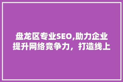 盘龙区专业SEO,助力企业提升网络竞争力，打造线上品牌新高度