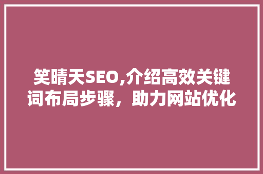 笑晴天SEO,介绍高效关键词布局步骤，助力网站优化